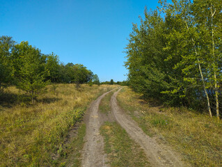 ​A dirt road winding uphill passes through dry field grass, surrounded by green trees. The bright blue sky creates a sense of space and freedom, inviting one on a journey.