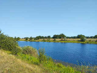 Fototapeta premium The calm blue water of a reservoir lies under a cloudless sky, framed by green thickets and a field. A line of trees is visible on the horizon, creating a natural backdrop for this summer landscape.