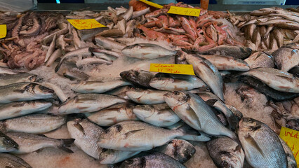 Amsterdam, Netherlands. Fresh seafood display at a bustling market featuring various fish species...