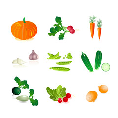 Fruit Vegetable Vector Design Collection
