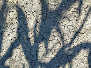 A top-down view of cracked, sun-baked earth, forming an intricate pattern. Contrasting shadows from...