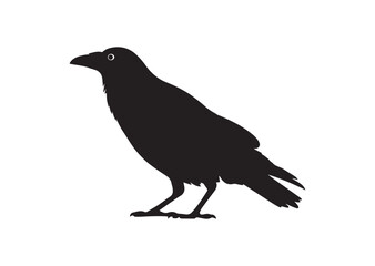 Obraz premium Crow silhouette vector illustration