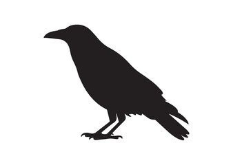 Obraz premium Crow silhouette vector illustration