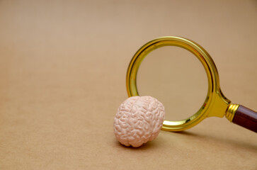 Exploring Human Thoughts – Brain Model and Magnifying Glass Concept