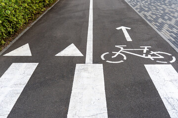 Fototapeta premium Bicycle lane with directional arrows and bicycle symbol on an asphalt surface 