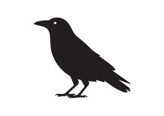 Obraz premium Crow silhouette vector illustration