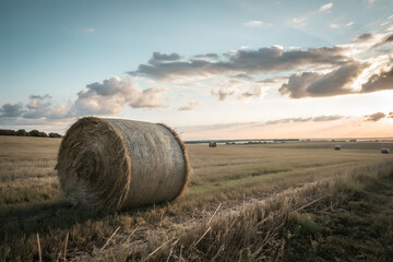 Large round hay bale in open countryside field under cloudy evening sky perfect for agriculture concepts, rural lifestyle visuals and farm harvest season promotional materials