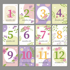 Baby milestone cards 1-12 months with flowers, pastel design for newborn photo props, baby shower gifts, nursery wall art, printable keepsake templates.