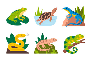 Reptile and dinosaur variety icons, turtle frog lizard stegosaurus mix, biodiversity vector illustration, nature study graphic © BlackVault Designs
