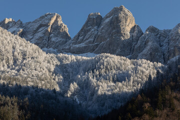 foreste e cime ghiacciate ed innevate di alcune alte catene montuose tra Italia e Slovenia,...