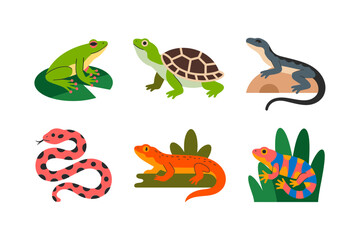 Cute frog and turtle character pack, hopping frog sleepy turtle baby salamander, fun animal stickers and labels, storybook vector art