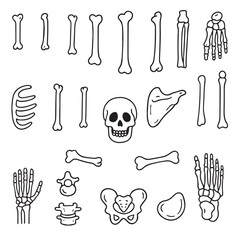 Vector set of bones icons in doodle style. Set of linear icons of human bones. Broken bone, arm bone, leg bone. Vector 