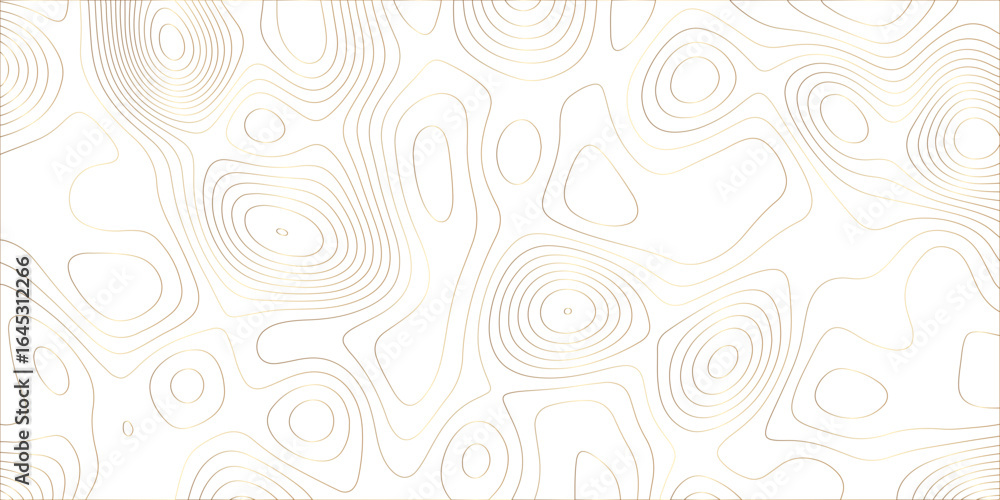 Poster Abstract white golden gradient Topographic line map pattern background. Contour elevation topographic and textured Background Modern design with White background with topographic wavy patte.	