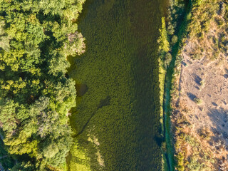 Aerial top down of nature meadow during summer in Yakima Valley Kennewick Richland Washington