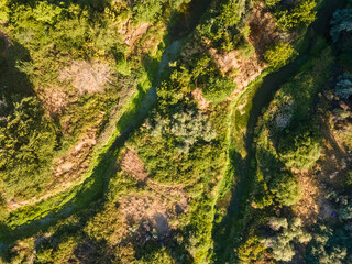 Aerial top down of nature meadow during summer in Yakima Valley Kennewick Richland Washington