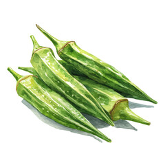 My hand-painted watercolor of hand-painted okra pods in a close-up angle, featuring soft tones and artistic simplicity, isolated on white, EPS vector ready. EPS vector design,  collection