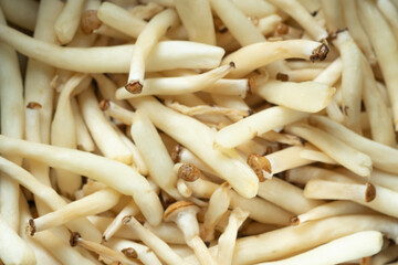 日本産カットぶなしめじ