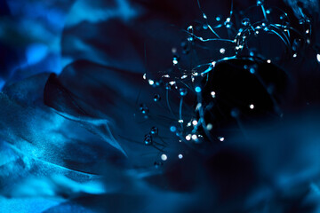 Abstract Blue Light Bokeh Macro