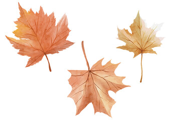 Warm autumn plant element
autumn plant element in different detail. illustrations are great for invitations, cards, packaging, branding, web sites, social media etc.