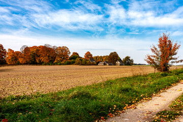 Autumn Country Path With Fallen Leaves and Distant Farm Buildings in a Vibrant Sky#2