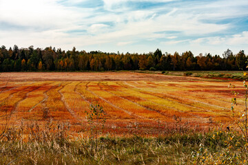 Scenic Autumn Landscape with Colorful Trees and a Harvested Field