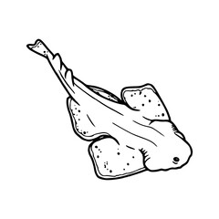 sawfish outline vector illustration