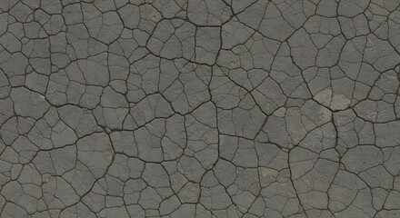 Intricate Polygonal Cracks on a Desiccated Gray Mudflat