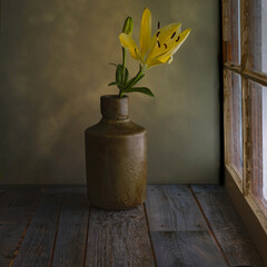 Lilly in a vase by a window