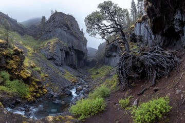 Mountain valley with a stream and ancient tree