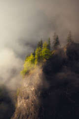 misty morning in the mountains