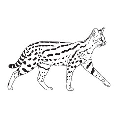 Wildlife Serval Line Art – Serval Vector Outline Drawing with Iconic Ears and Long Limbs – Serval Drawing – Vector of Serval – Serval Outline

