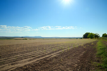 Agricultural Fields Thriving Under Sunny Anticyclonic Weather  