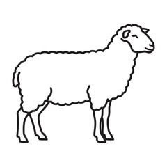 Stylish Sheep Line Art – Sheep Vector Illustration Minimal Drawing with Smooth Wool Lines – Sheep Drawing – Line Art Drawing of Sheep – Sheep Icon

