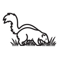 Elegant Skunk Line Art – Skunk Vector Illustration Fine Drawing with Distinctive Tail – Skunk Drawing – Line Art Drawing of Skunk – Skunk Icon

