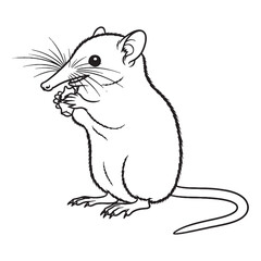 Wildlife Solenodon Line Art – Solenodon Vector Illustration Artistic Drawing with Unique Traits – Solenodon Drawing – Line Art Drawing of Solenodon – Solenodon Icon


