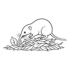 Wild Solenodon Line Art – Solenodon Vector Outline Drawing with Smooth Contours – Solenodon Drawing – Vector of Solenodon – Solenodon Outline

