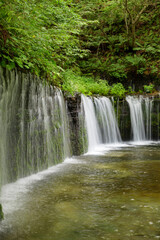 新緑に囲まれた白糸の滝のやさしい流れ