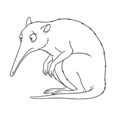 Unique Solenodon Line Art – Solenodon Vector Illustration Detailed Drawing with Iconic Small Mammal Features – Solenodon Drawing – Line Art Drawing of Solenodon – Solenodon Icon

