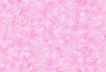 Fototapeta premium Rug of pink roses petals background
