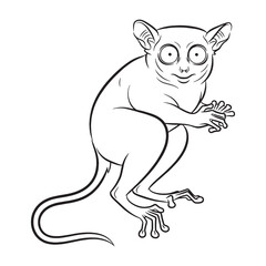 Sharp-Detail Tarsier Line Art – Tarsier Vector Outline Drawing with Fine Smooth Finish – Tarsier Drawing – Vector of Tarsier – Tarsier Outline

