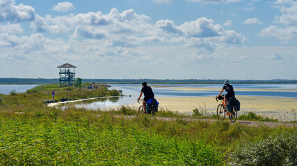 Cyclists riding along a scenic lakeside trail towards a wooden observation tower on a sunny summer day.