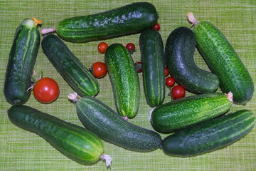 Ripe green cucumbers and cherry tomatoes on a light green background.