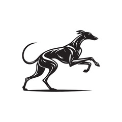 Greyhound Dog Vector Silhouette - Minimalist Greyhound Dog Vector - Illustration of Greyhound Dog.