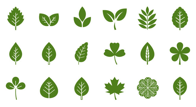 Green Leaf Icon Set