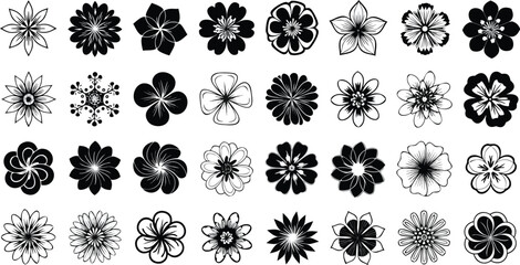 A collection of thirty six black and white flower illustrations arranged in a rectangular format