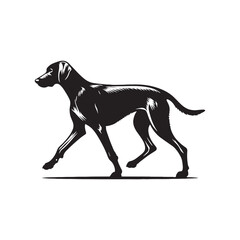 Harrier Dog Vector - Minimalist Harrier Dog Silhouette - Harrier Dog Illustration.