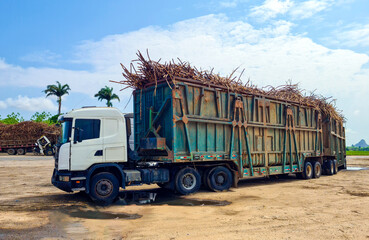 Truck transporting sugarcane for the production of alcohol and sugar in Brazil