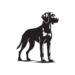 Harrier Dog Vector - Minimalist Harrier Dog Silhouette - Harrier Dog Illustration.