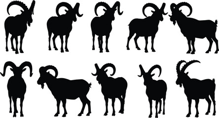 Collection of black silhouettes of mountain goats, rams and ibex in various poses, wild animal vector illustration set on white.