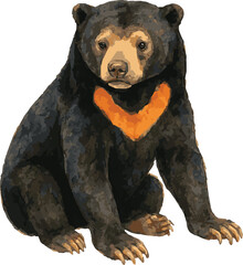 Obraz premium Vector adorable watercolor illustration of a sun bear